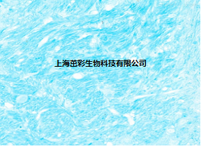 LFB髓鞘染色.png